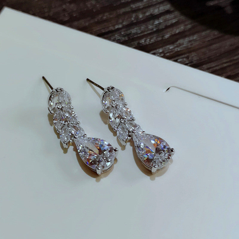 Tassel long zircon earrings