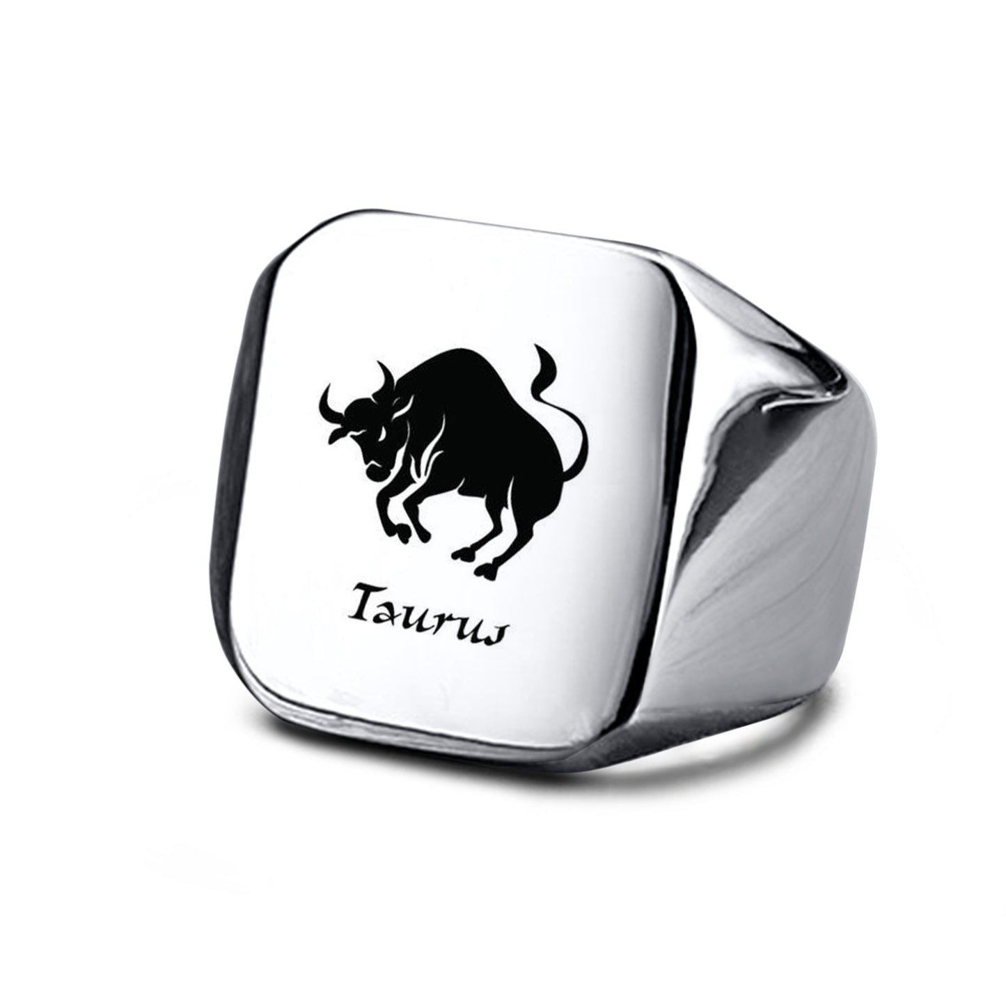 Smooth Titanium Steel Stainless Steel Horoscope / Star Sign Ring