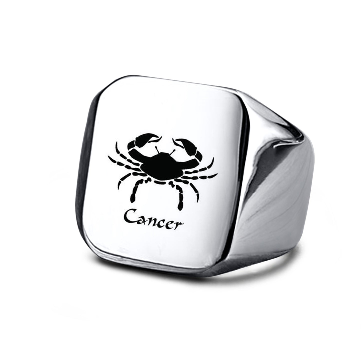 Smooth Titanium Steel Stainless Steel Horoscope / Star Sign Ring