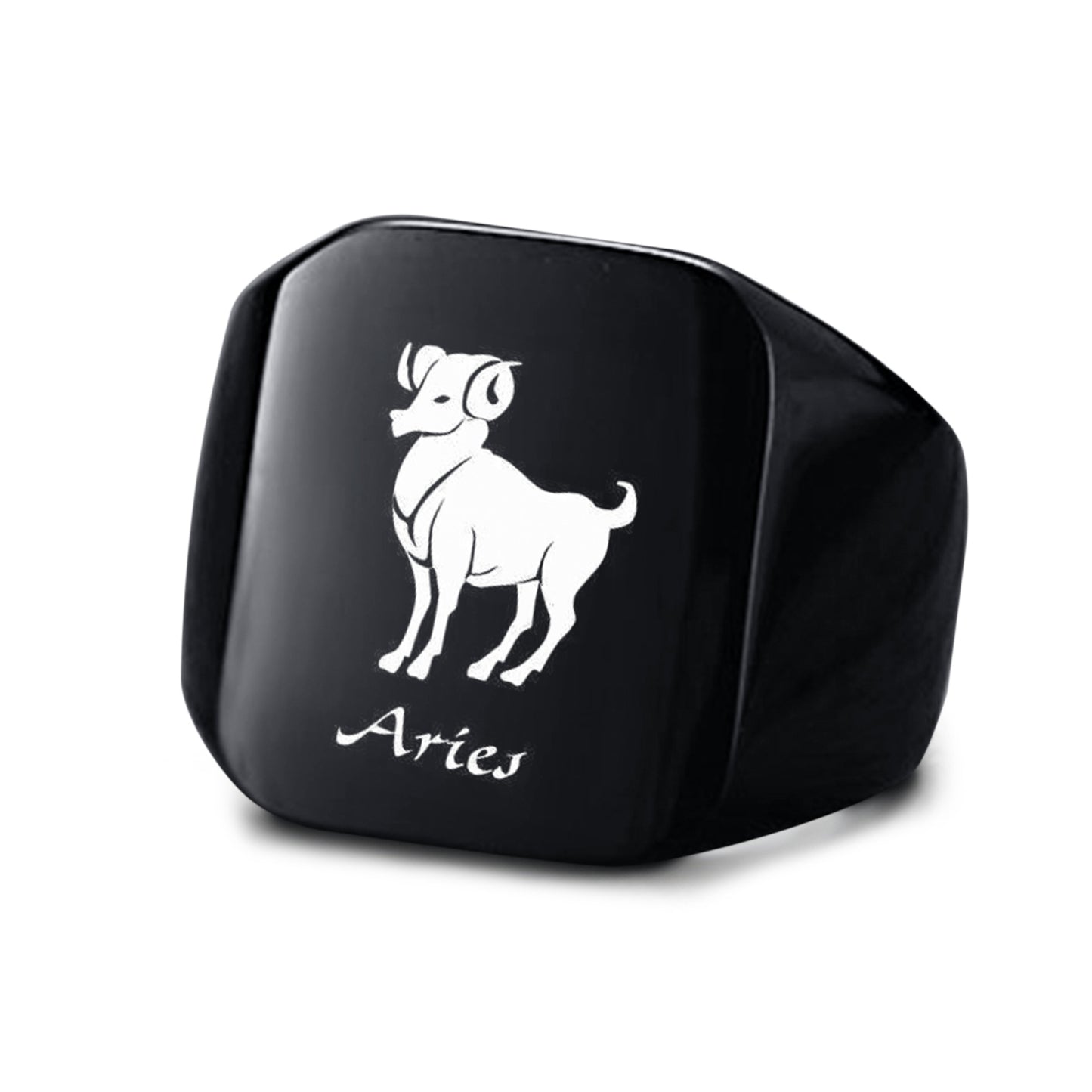 Smooth Titanium Steel Stainless Steel Horoscope / Star Sign Ring