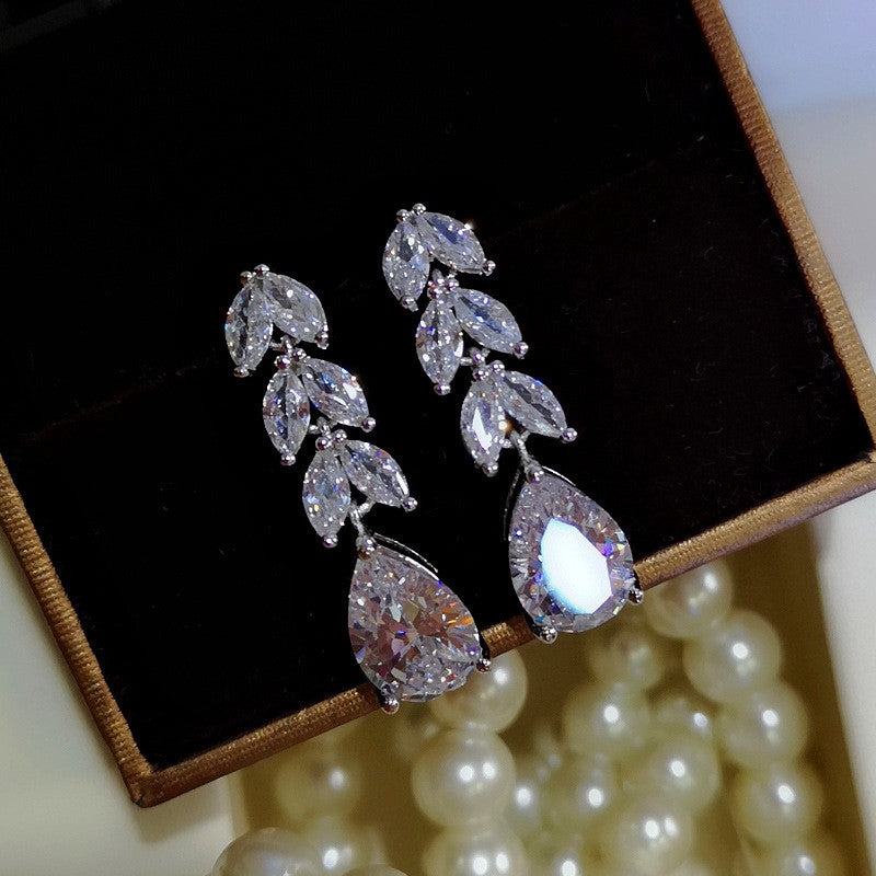 Tassel long zircon earrings